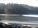./images/calvert/beach/20170411/beach20170411_093002.jpg