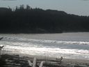 ./images/calvert/beach/20170411/beach20170411_140503.jpg
