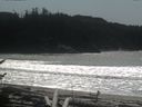 ./images/calvert/beach/20170411/beach20170411_141503.jpg