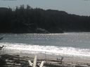 ./images/calvert/beach/20170411/beach20170411_142003.jpg
