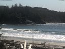 ./images/calvert/beach/20170411/beach20170411_150501.jpg