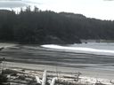 ./images/calvert/beach/20170415/beach20170415_132001.jpg