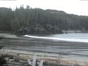 ./images/calvert/beach/20170416/beach20170416_080501.jpg