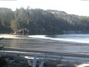 ./images/calvert/beach/20170417/beach20170417_091003.jpg