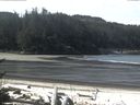 ./images/calvert/beach/20170417/beach20170417_105002.jpg