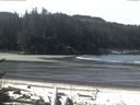 ./images/calvert/beach/20170417/beach20170417_110501.jpg