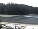 ./images/calvert/beach/20170417/beach20170417_113002.jpg