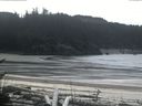 ./images/calvert/beach/20170417/beach20170417_134503.jpg