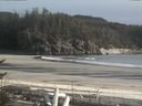 ./images/calvert/beach/20170421/beach20170421_183002.jpg
