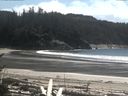 ./images/calvert/beach/20170423/beach20170423_145002.jpg