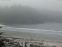 ./images/calvert/beach/20170424/beach20170424_102502.jpg