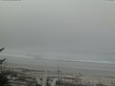 ./images/calvert/beach/20170424/beach20170424_105001.jpg