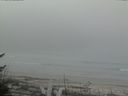 ./images/calvert/beach/20170424/beach20170424_105503.jpg