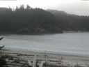 ./images/calvert/beach/20170424/beach20170424_113502.jpg