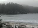 ./images/calvert/beach/20170424/beach20170424_114503.jpg
