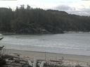 ./images/calvert/beach/20170425/beach20170425_113002.jpg