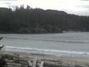 ./images/calvert/beach/20170425/beach20170425_130502.jpg