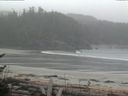 ./images/calvert/beach/20170503/beach20170503_111502.jpg