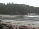 ./images/calvert/beach/20170503/beach20170503_123503.jpg