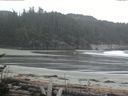 ./images/calvert/beach/20170503/beach20170503_134502.jpg