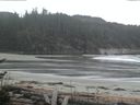 ./images/calvert/beach/20170503/beach20170503_141502.jpg
