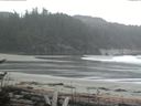 ./images/calvert/beach/20170503/beach20170503_142002.jpg