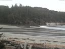 ./images/calvert/beach/20170503/beach20170503_155002.jpg