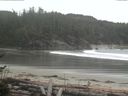 ./images/calvert/beach/20170504/beach20170504_170502.jpg