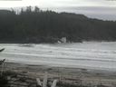 ./images/calvert/beach/20170508/beach20170508_124503.jpg