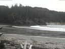 ./images/calvert/beach/20170509/beach20170509_164503.jpg