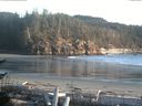 ./images/calvert/beach/20170509/beach20170509_202503.jpg