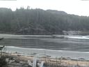 ./images/calvert/beach/20170510/beach20170510_072002.jpg