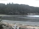 ./images/calvert/beach/20170510/beach20170510_085503.jpg
