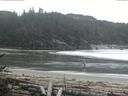 ./images/calvert/beach/20170513/beach20170513_115003.jpg