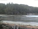 ./images/calvert/beach/20170514/beach20170514_082503.jpg