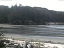 ./images/calvert/beach/20170514/beach20170514_105501.jpg