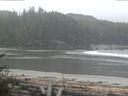 ./images/calvert/beach/20170515/beach20170515_090502.jpg