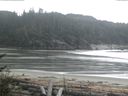 ./images/calvert/beach/20170515/beach20170515_120503.jpg