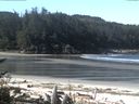 ./images/calvert/beach/20170516/beach20170516_100503.jpg