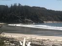 ./images/calvert/beach/20170516/beach20170516_150003.jpg