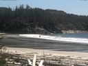 ./images/calvert/beach/20170516/beach20170516_150502.jpg
