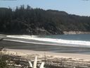 ./images/calvert/beach/20170516/beach20170516_154002.jpg