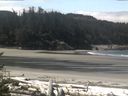 ./images/calvert/beach/20170517/beach20170517_115003.jpg