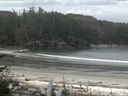 ./images/calvert/beach/20170519/beach20170519_091502.jpg