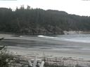 ./images/calvert/beach/20170519/beach20170519_171003.jpg