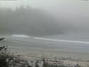 ./images/calvert/beach/20170520/beach20170520_100503.jpg
