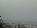 ./images/calvert/beach/20170520/beach20170520_112001.jpg