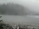 ./images/calvert/beach/20170520/beach20170520_141003.jpg