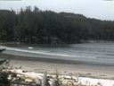./images/calvert/beach/20170521/beach20170521_102001.jpg