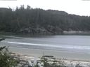 ./images/calvert/beach/20170529/beach20170529_055003.jpg